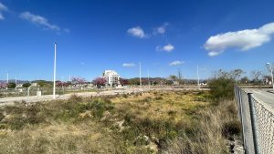 fallback-no-image-8852