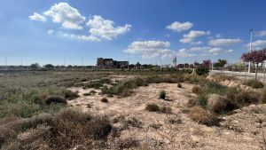 fallback-no-image-8867