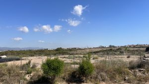 fallback-no-image-8928